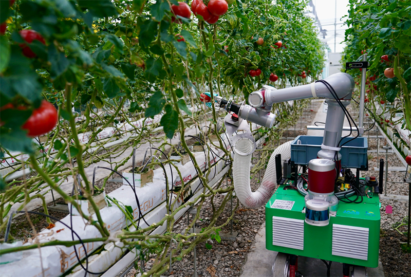 恒溫恒濕試驗箱可應(yīng)用于農(nóng)業(yè)機(jī)械設(shè)備測試試驗